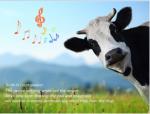 Phone number track location gps sheep animal tracking RF-V26 with free apps from