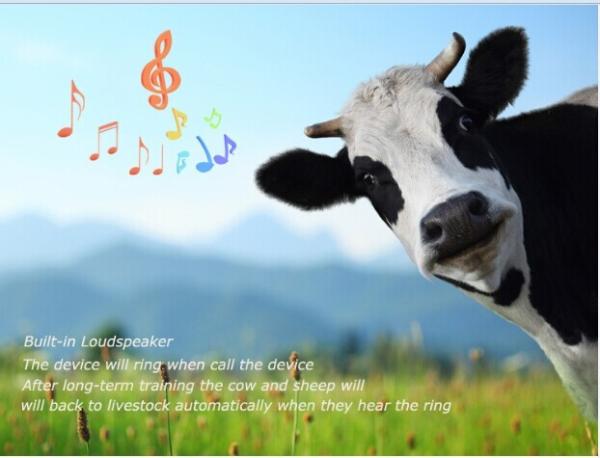 Phone number track location gps sheep animal tracking RF-V26 with free apps from