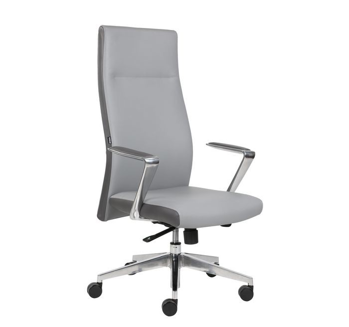 DIOUS Dia60mm Leather Revolving Chair High Back For Executive