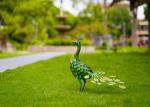 Green Metal Peacock Lawn Ornament Modern Animal Garden Decoration
