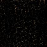 Square Shiny Porcelain Floor Tiles 600*600mm Black Gold Rose Polished