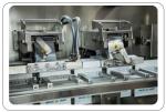 Fertilizer DGD-320-2 Fully Automatic Horizontal Double Feed Bagging Machine