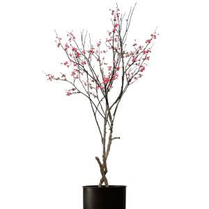China Plant Sakura Real Touch Artificial Flowers Fabric Chinese Style Landscaping Tree factory