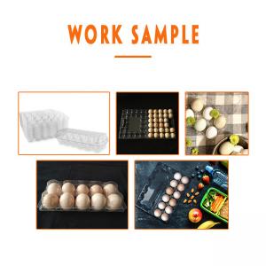 China Pet Plastic Egg Tray Manufacturing Machine Vacuum Forming Packaging factory