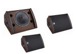 Professional Stage Monitors Indoor Sound System 2 Way Audio Speaker Enclosure