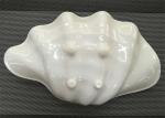 Shell Shape UNK Sushi Pan Unbreakable Plastic Porcelain Dinnerware Weight 208g