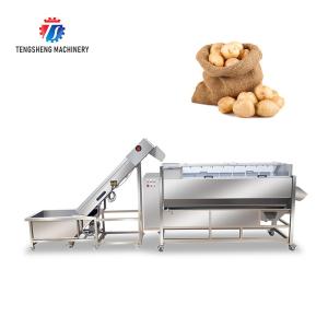 China SS Fruit Vegetable Washing Machine Pre - Foaming Lifting Hair Roller Cleaning Production Line factory