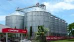 Corrugated Hopper Bottom Grain Bins High Galvanized Steel 500t 1000t 1500t