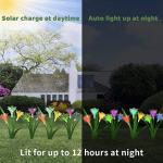 Ip44 1.2V Lily Solar Garden Stake Lights