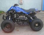 150CC 5.5kw 4 Stroke 1 Cylinder Youth Racing ATV With Automatic Clutch