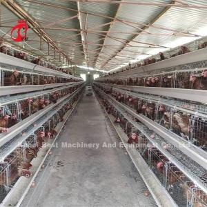 China A Type Manual Egg Laying Hens Poultry Cage Emily factory