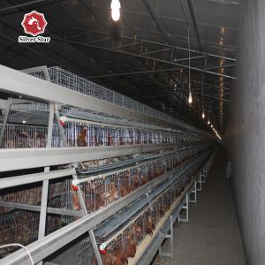 China Agricultural Equipment Poultry Breeding Cage In Chicken Cages For Breeders factory