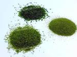 Crispy Umami Flavor Aonori Seaweed Powder Sprinkles Ulva Lactuca Dried Green