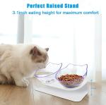 Elevated 15 Degree Tilted Raised Cat Bowls ABS Material