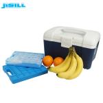 Hard Plastic Transport Medical Ice Packs With Perfect Sealing