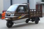 Automatic 250cc Three Wheel Closed Motorcycle with 12v Voltage and 4-Stroke