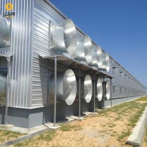 Customizable Galvanized Steel Poultry House with Automated Ventilation
