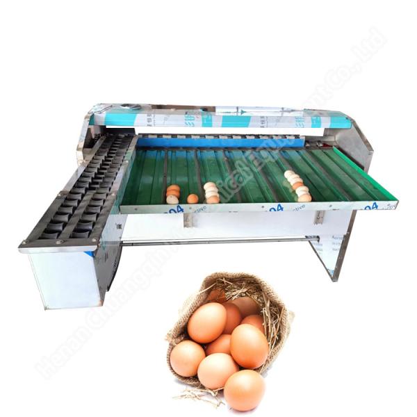 Chicken Egg Sorting Machine Automatic Egg Sorting Machine 4000-10000 Pcs