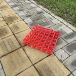 Agriculture 30 Count Plastic Egg Containers Egg Storage