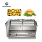 1500KG/H Sweet potato cleaning and peeling machine manufacturers supply brush