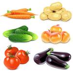 Commercial Industrial Bubble Fruit Avocado Mango Vegetable Potato Washing