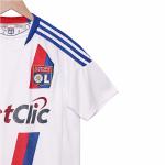 Lyon 2010-2011 Home Retro Football Jersey Classic Replica Support Customization