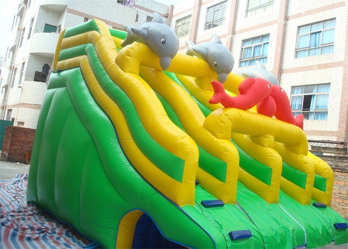 Fish Double Climbing Ladders Commercial Inflatable Slide For Adult