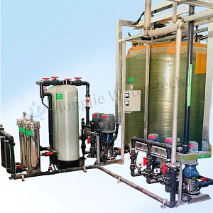 China 20T/H Dual-Stage RO + EDI + Mixed Bed Ultrapure Water Systems For Hungarian factory