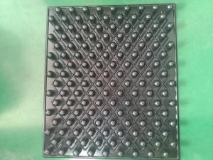 China blister trays for seeding PS factory