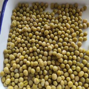 China BRC No Additives Salty Flavor 400g Canned Green Peas factory