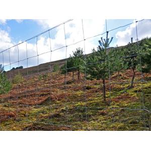 Galvanized Steel Wire Mesh Fence Animal 72 inch field fence Zoo Wild Fencing