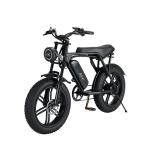 Electric Fat Tire Snow Beach E-Bike With Double Disc Brake And Lithium Battery