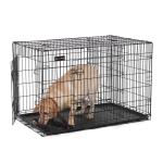 Large Welded Strong Metal Dog Crate Non Toxic Coating Rust Resistant
