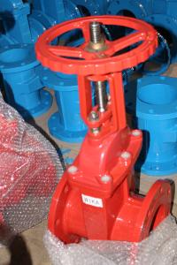 China (ANSI) Cast Iron Gate Valve Flanged Ends factory