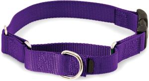 China Durable Soft Nylon Buckle Dog Collars , Purple Green Nylon Dog Collar Easy On Off factory