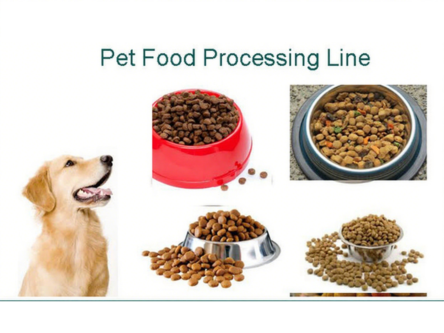 Automatic Dog Food Pet Animal Food Extruder Production Machine
