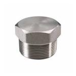 Hex Square Plug npt bsp thread end stainless steel 316L pipe fittings hexagon