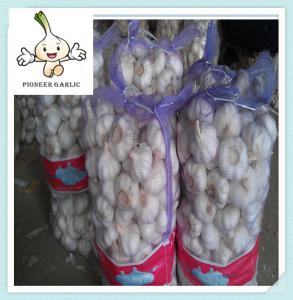 China white garlic Fresh Normal White Garlic (4.5-6.0cm) Natural Garlic factory