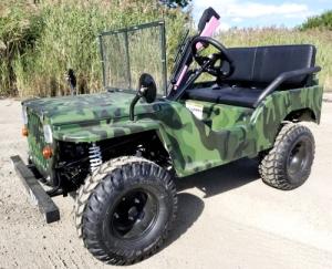 China Chain 125cc Electric Buggy For Adults Semi Auto With Reverse factory