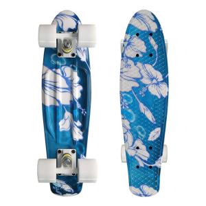 China OEM Plastic Penny Board Painting Design Easy To Ride For Beginners factory