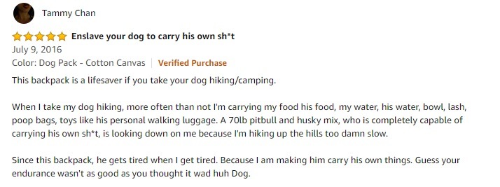 Pets Cats Dogs Pet Carrier Pack Bag Backpack