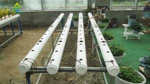 China ECO Friendly Auto Soilless Hydroponic System For Leafy Vegetables factory