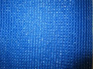 China Blue Plastic Fence Netting factory