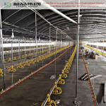 Modern Design Waterproof Thermal Insulation Chicken House Laying Chicken House