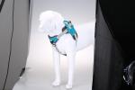 Supplier Selling New Design Anti-friction Dog Leash Sets Comfortable Vest For