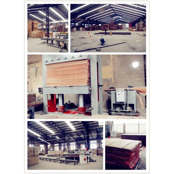 28mm and 21 layer ISO container flooring plywood for repair or produce container