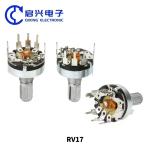 RV17 Carbon Film Potentiometer With Switch