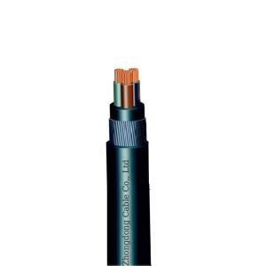 China 6kv 10kV XLPE Insulated Power Cable 3 Core Aluminium Wire Armoured N2XSRY factory