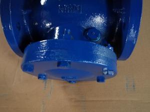 China BS TABLE-D check valve flanged ends factory