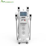 Cryolipolysis Beauty Salons Fastest Way To Lose Weight Body Fat Removal slimming